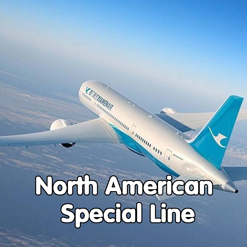 Best Seller Free Cargo Consolidation DDU DDP Shipping Air Freight From China to USA/Canada/Mexico