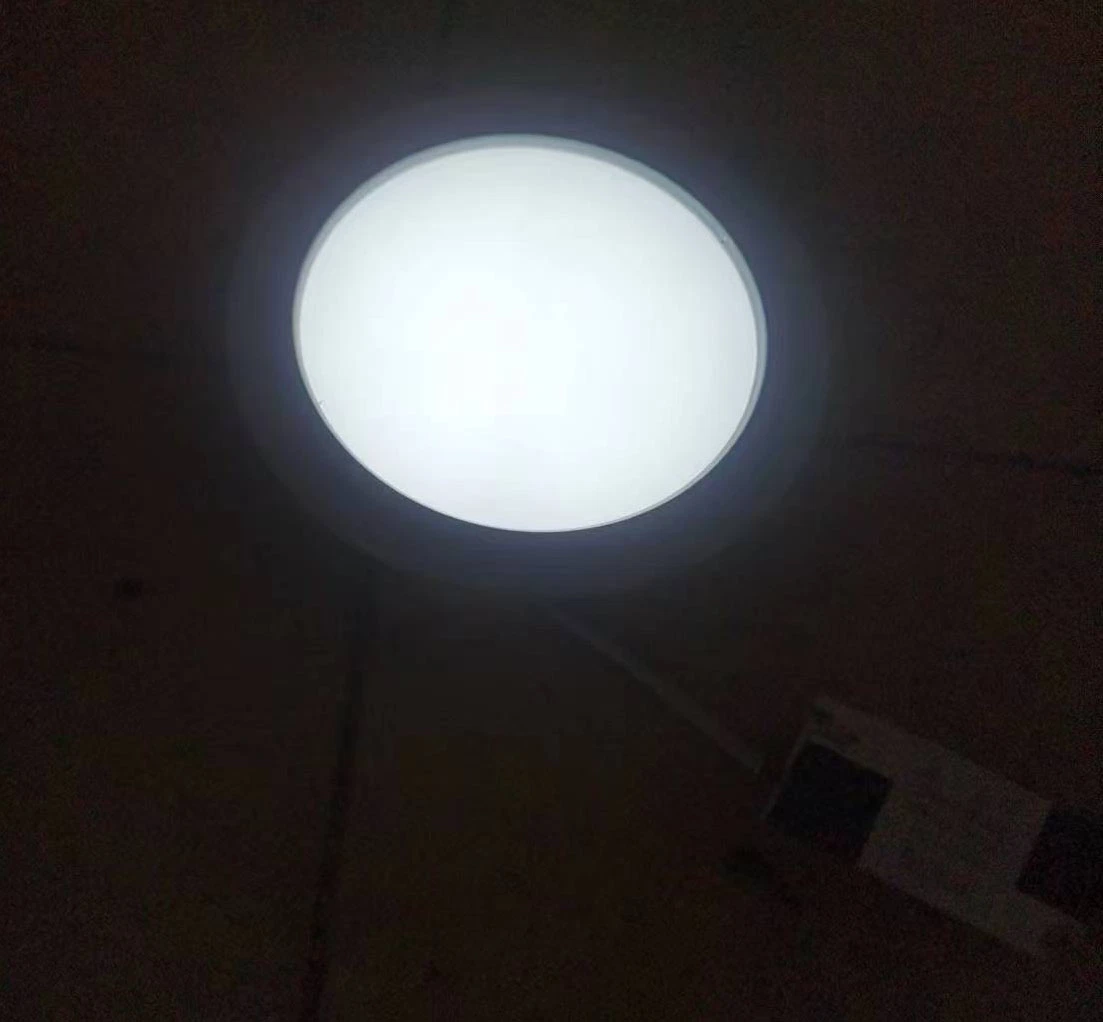 Yxx 10W Indoor LED Down Lamp