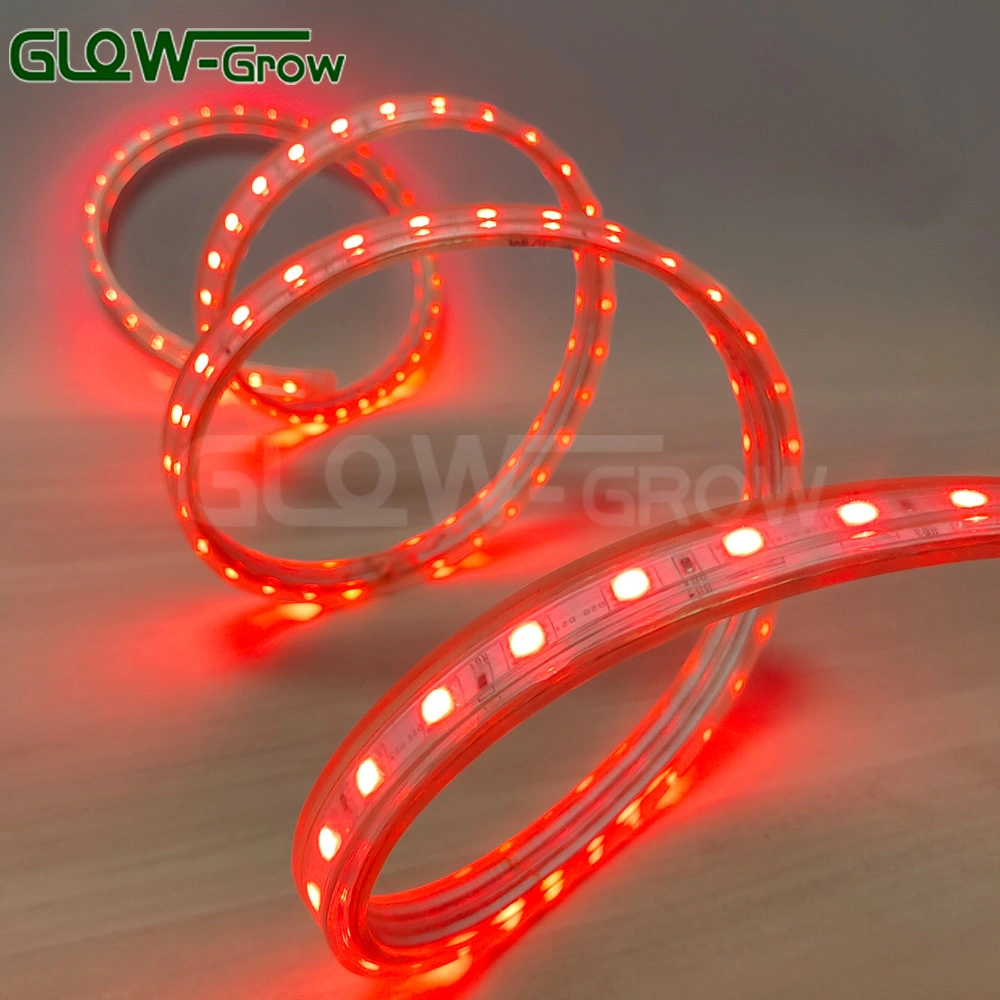 CE RoHS Factory Price High Voltage 110V 220V 230V SMD5050 IP65 Waterproof LED Strip Light for Party Christmas Halloween Festival Decoration