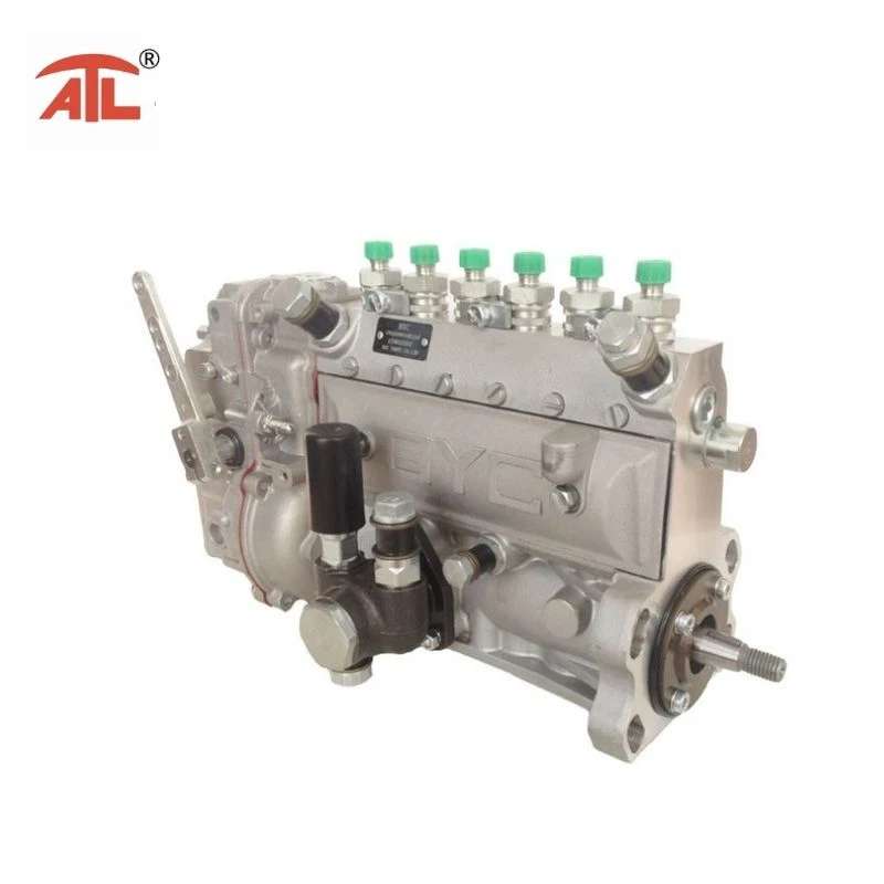 Fuel Injection Pump (10400866082 CPES6A80D410RS2167) for Diesel Engine F6l912