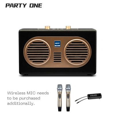 100W Loud Power Dual DSP Party Speaker Karaoke Player Wireless Micphone