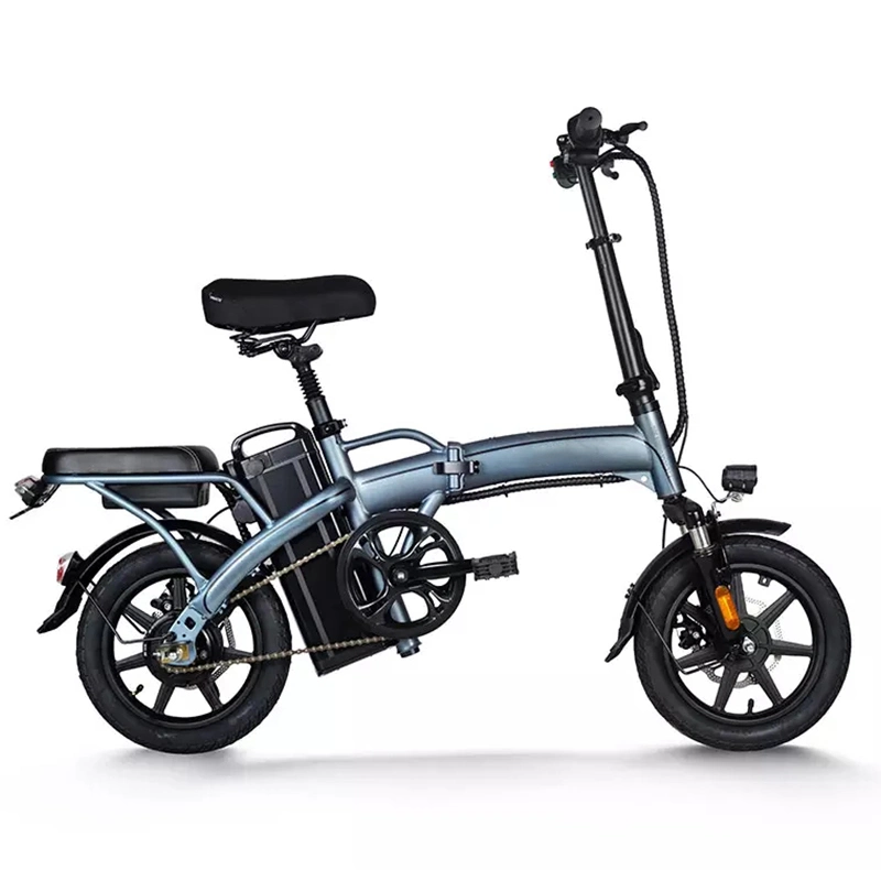 48V Warehouse 350W 8ah Electric Bicycle Folding E Bike for Adult
