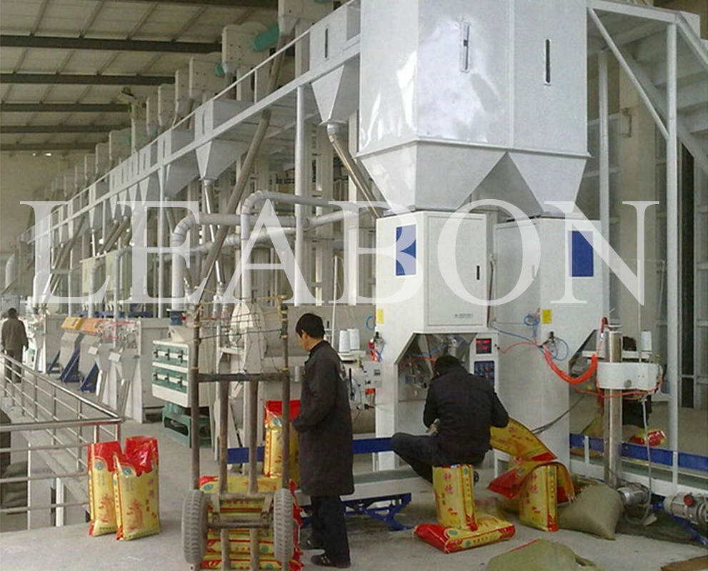 Automatic Pellet Weighing Packaging Machine