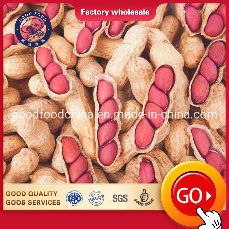 Wholesale Chinese Peanut Kernels Peanut Shells Loved by Children