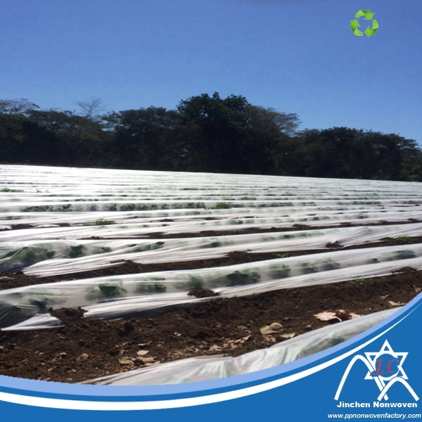 100%Polyprpopylene Nonwoven Fabric for Agriculture Ground Crop Cover