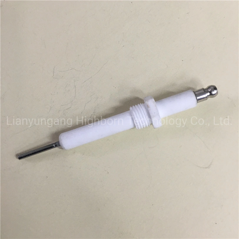 Fast Delivery Glazed 95% Alumina Al2O3 Ceramic Igniter Pin for Combustion Machine