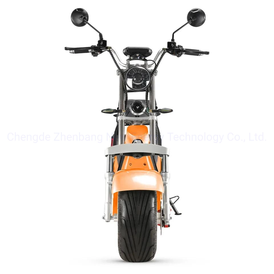 Two Wheels Adult Electric Scooter with Seat 60V 1500W Sport Scrooser Citycoco with Optional GPS