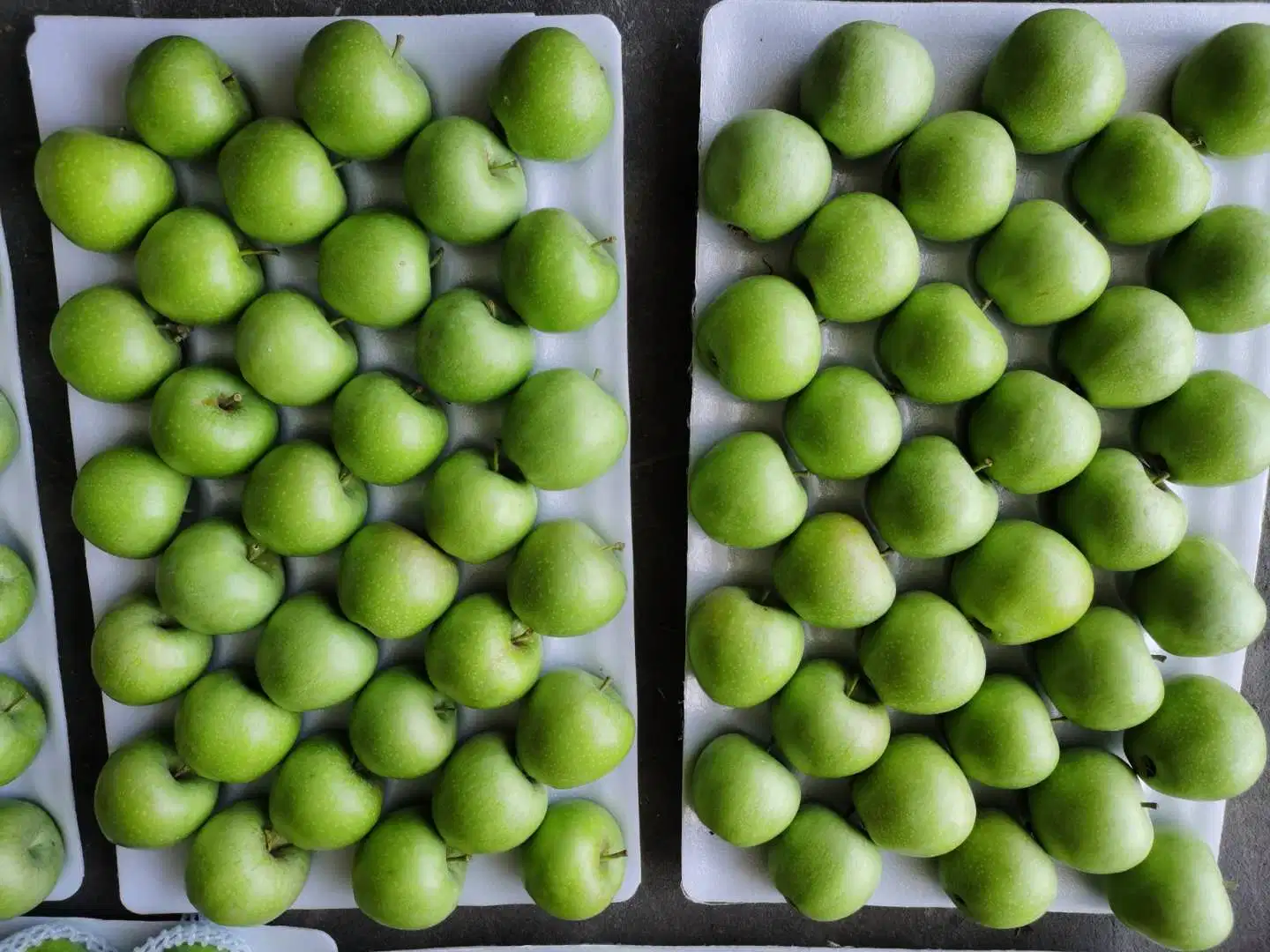 Green Color Green Qinguan Green Gala Apples