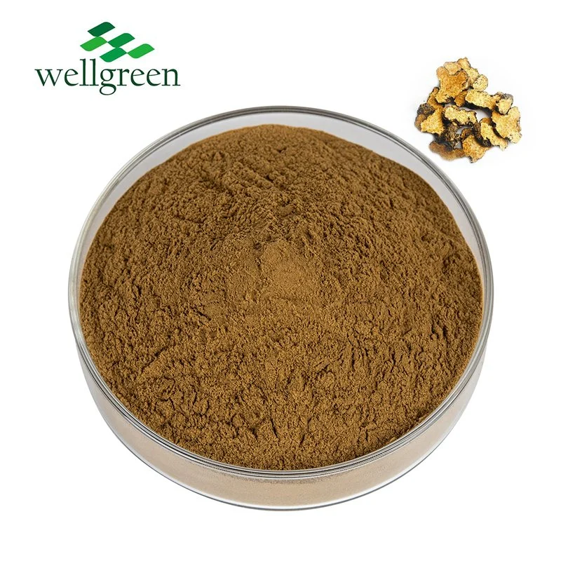 Hot Selling Bai Zhu Atractylodis Macrocephalae Rhizoma Largehead Atractylodes Rhizome Root Extract