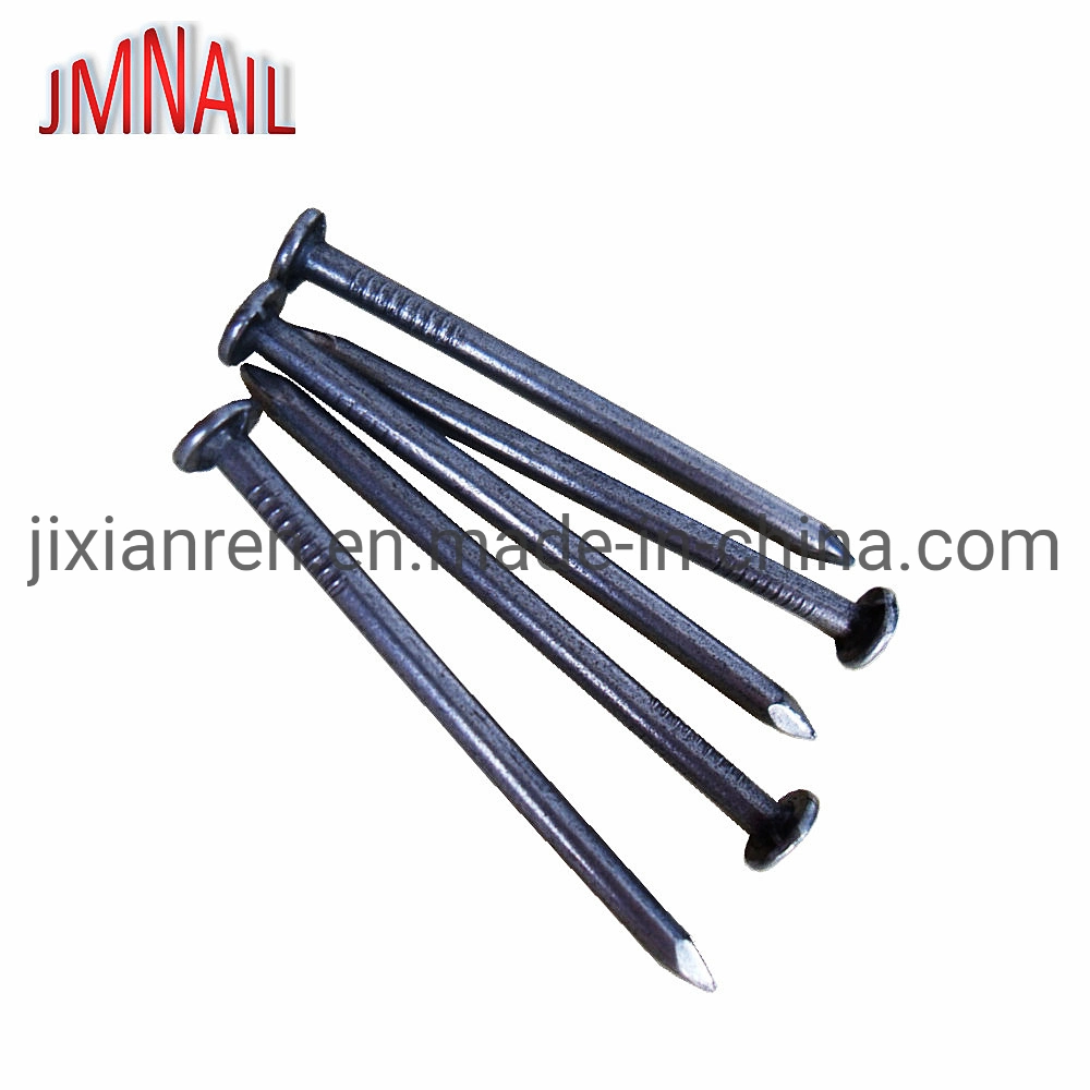 Common Nail/Building Nail/Wire Nail/Construction Nail/Iron Nail/Steel Nail