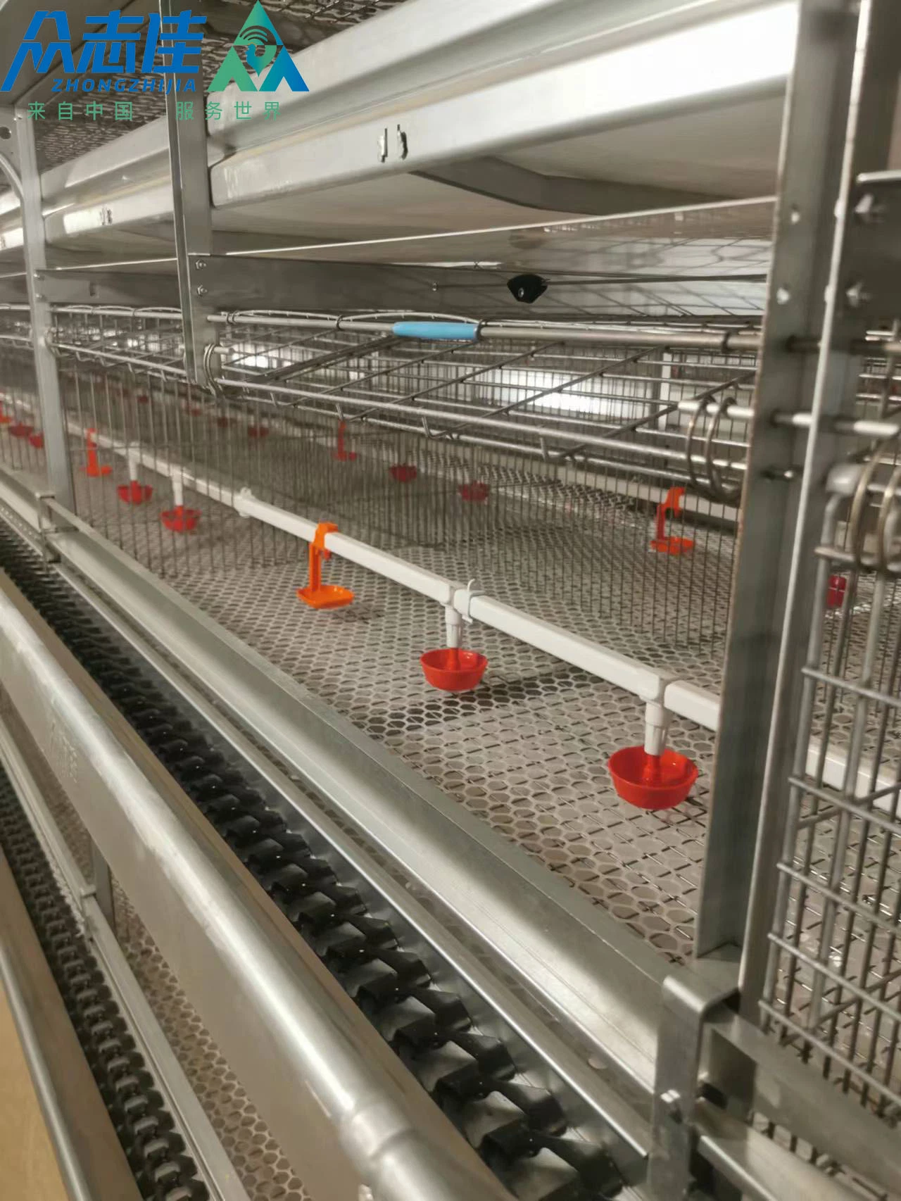 Type H automatique volaille matériel agricole couches cages de poulet pour Vente