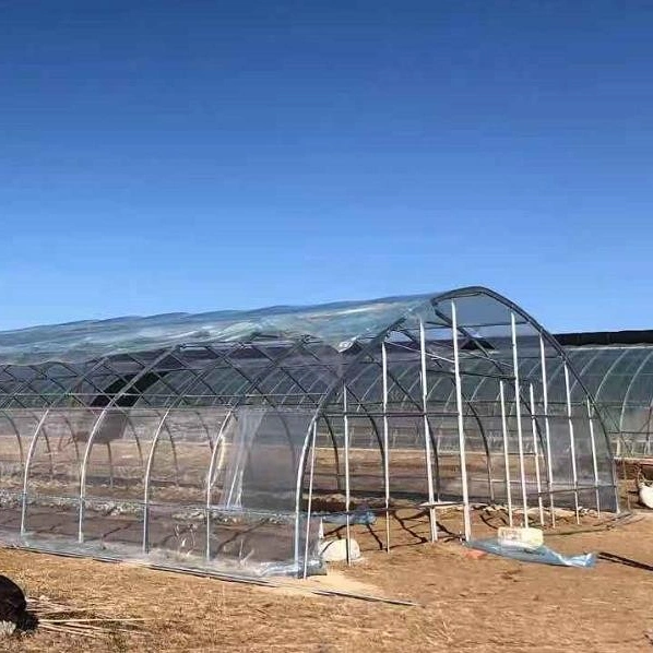 Modern High quality/High cost performance Hot Sale Solar Greenhouses From Vegetable Hometown for Sale