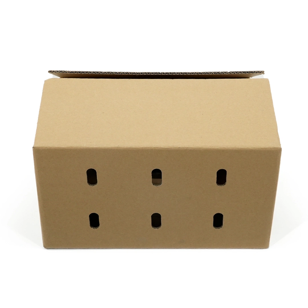 Packaging Custom Design Kraft Paper Corrugated Carton