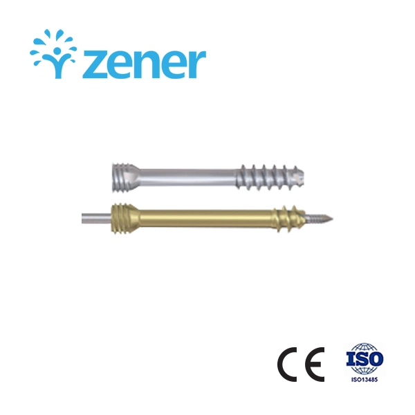 Sagiter cabeza doble compresión Screwtitanium hueco aleación, implante de Ortopedia, Traumatología, Cirugía, conjunto de instrumentos médicos, con CE/ISO, pequeño fragmento