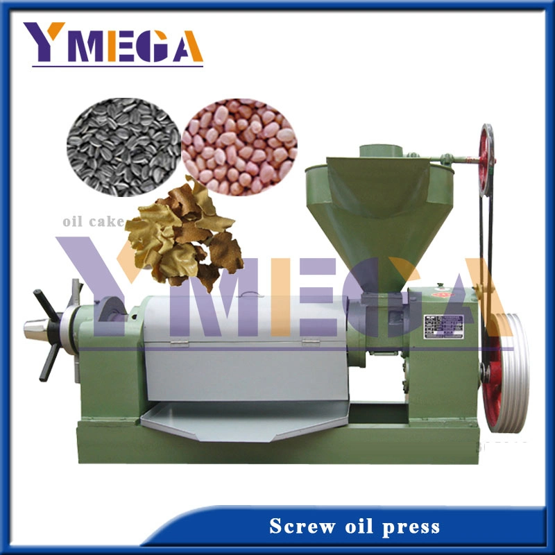 Low Temperature Oil Production Automatic Screw Cold Press