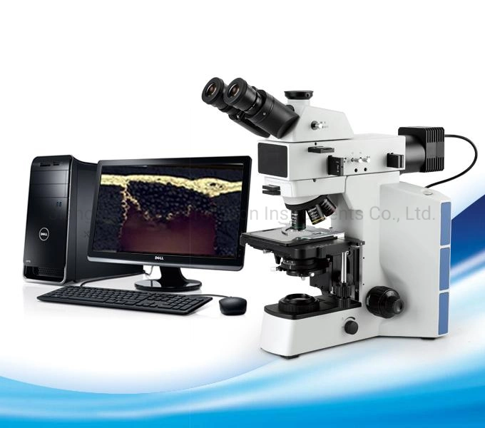 Microscopio metalúrgico portátil con 10X Ocular de campo plano Intc-L100HD
