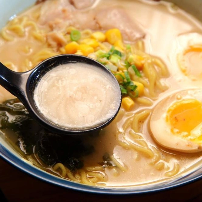 Tonkotsu Ramen sazonar / Japonés Ramen condimento delicioso Ramen Tonkotsu / Paquete condimento sopa