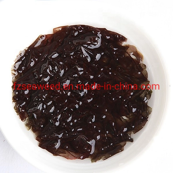 Algae Seafood Dried Seaweed Nori Laver for Food