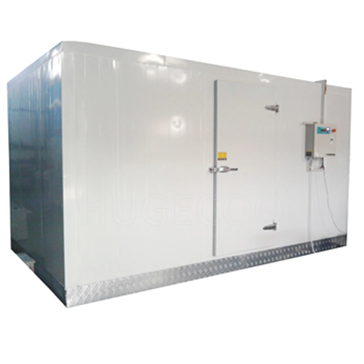 A fábrica resfriado a ar sala fria a armazenagem a frio o resfriador/Chiller/Sala de congelador Blast freezer para Produtos hortícolas frescos frutos do mar carnes