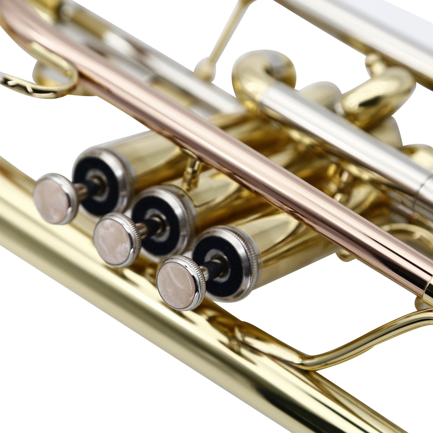 Good Cornet Gold Lacquer for Beginner