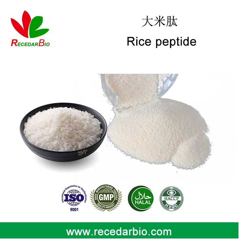 High Quality Small Molecule Rice Protein Peptide Oligopeptides Powder