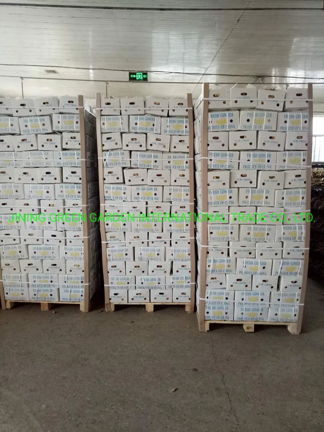 Wholesale/Supplier Chinese Fresh Young Frozen Vegetable Food Air Dry Dried Pickled Slice Dehydrated Sushi Organic Crop Fat Yellow Ginger Price From Factory Supplier with