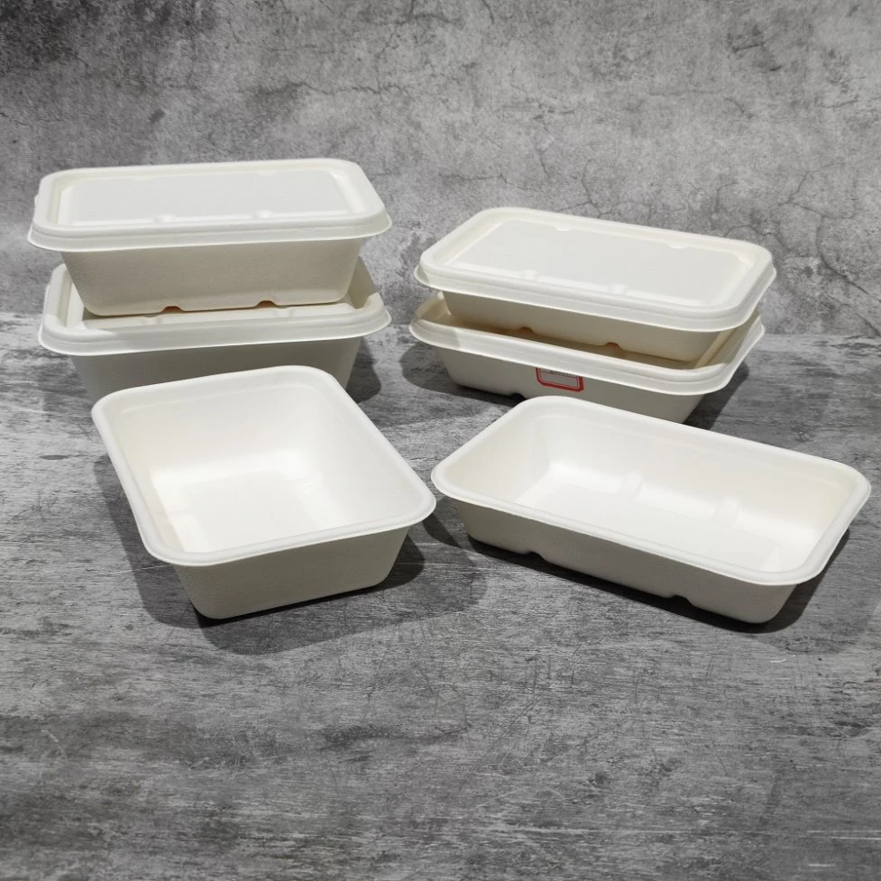 Eco-Friendly Takeaway Lunch Box Lunch Box 1000ml Microwave Disposable Bagasse 3 Grids with Lid