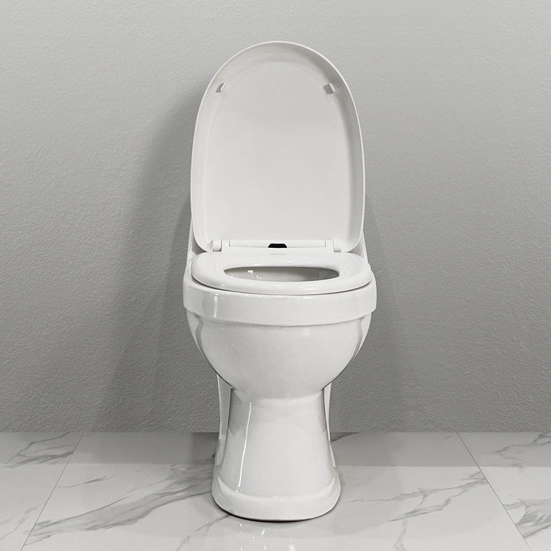 Cerámica de venta al por mayor de aparatos sanitarios de lavado cuarto de baño WC S-Trap100mm