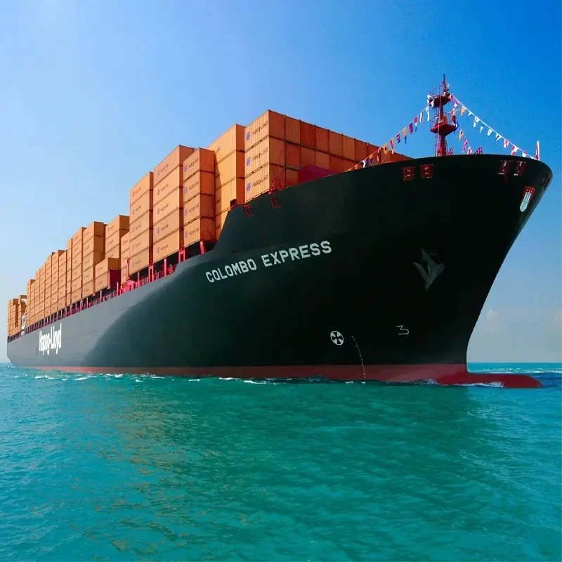 Cheap Fast Shipping Sea Freight Forwarder From China to Tbilisi