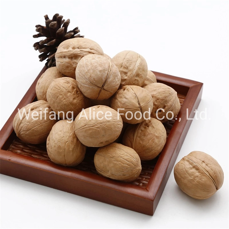 Healthy Snack Ingredient Walnut Kernels Walnut