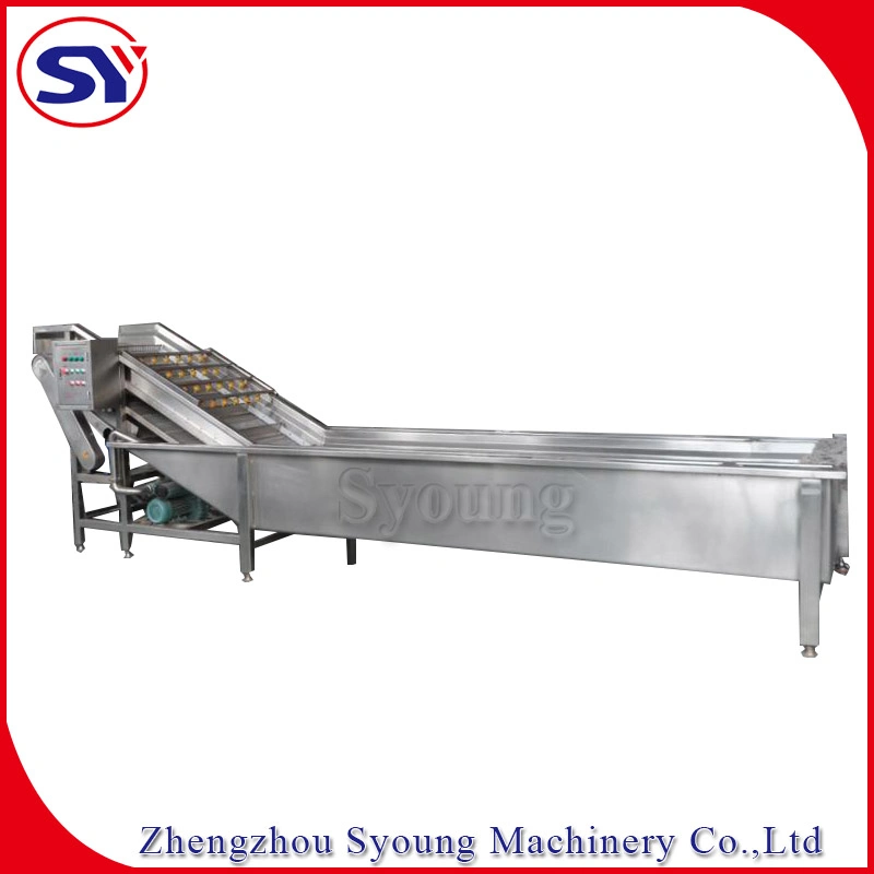 Vegetable Bubble Spray Industrial Washer Conveyor for Beet Root