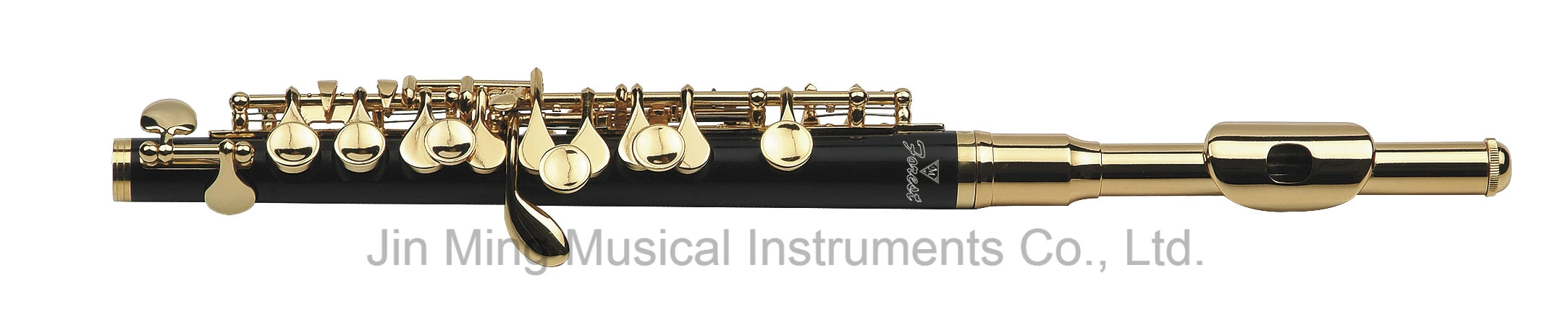 Good ABS Body Gold Plated Piccolo Woodwind Instrument