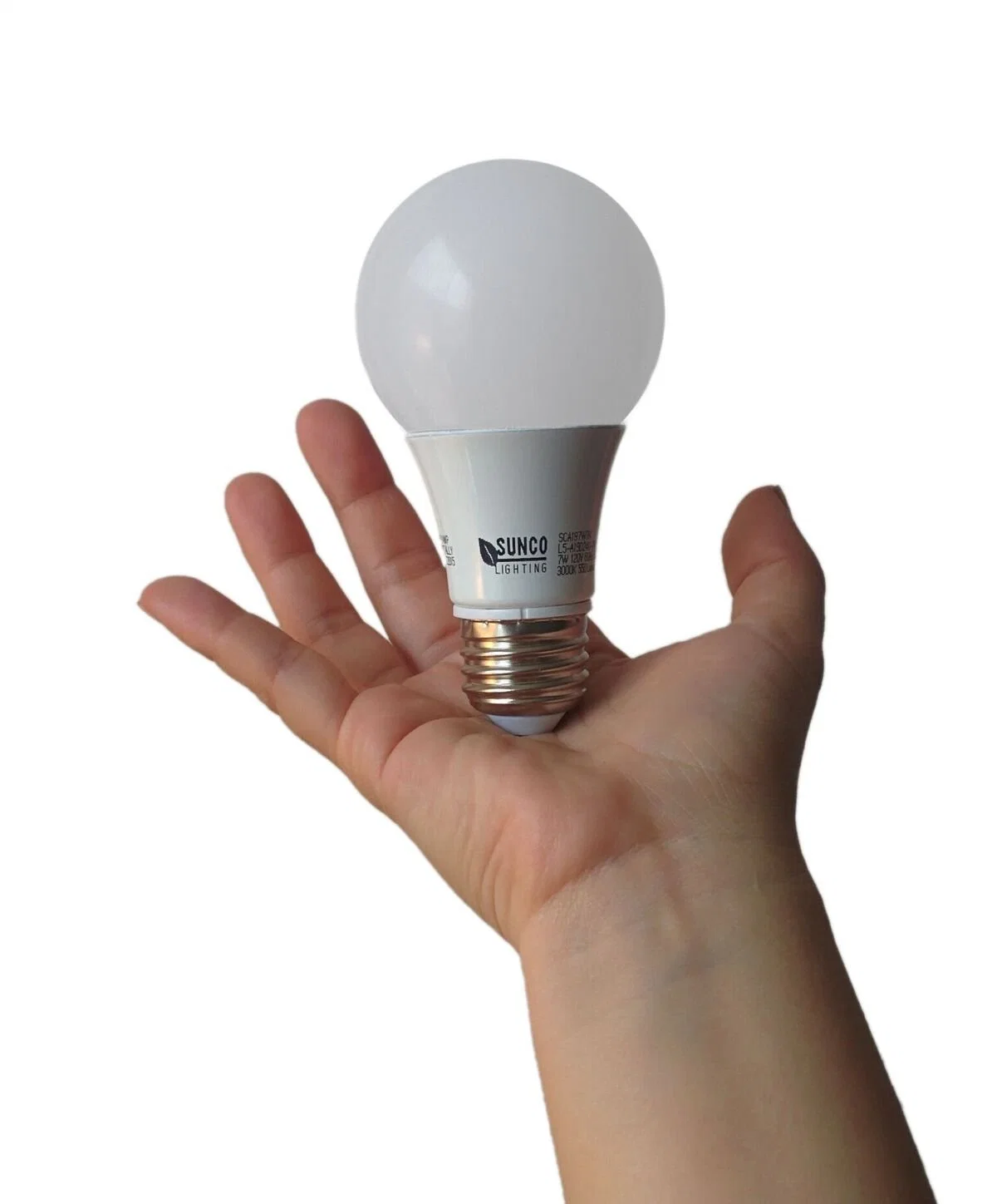 A19 LED Light Bulb, 9W (60W Equivalent) , 3000k Warm White, 800lm, 300&deg; Beam Angle, E26 Medium Base, 3 Years Warranty