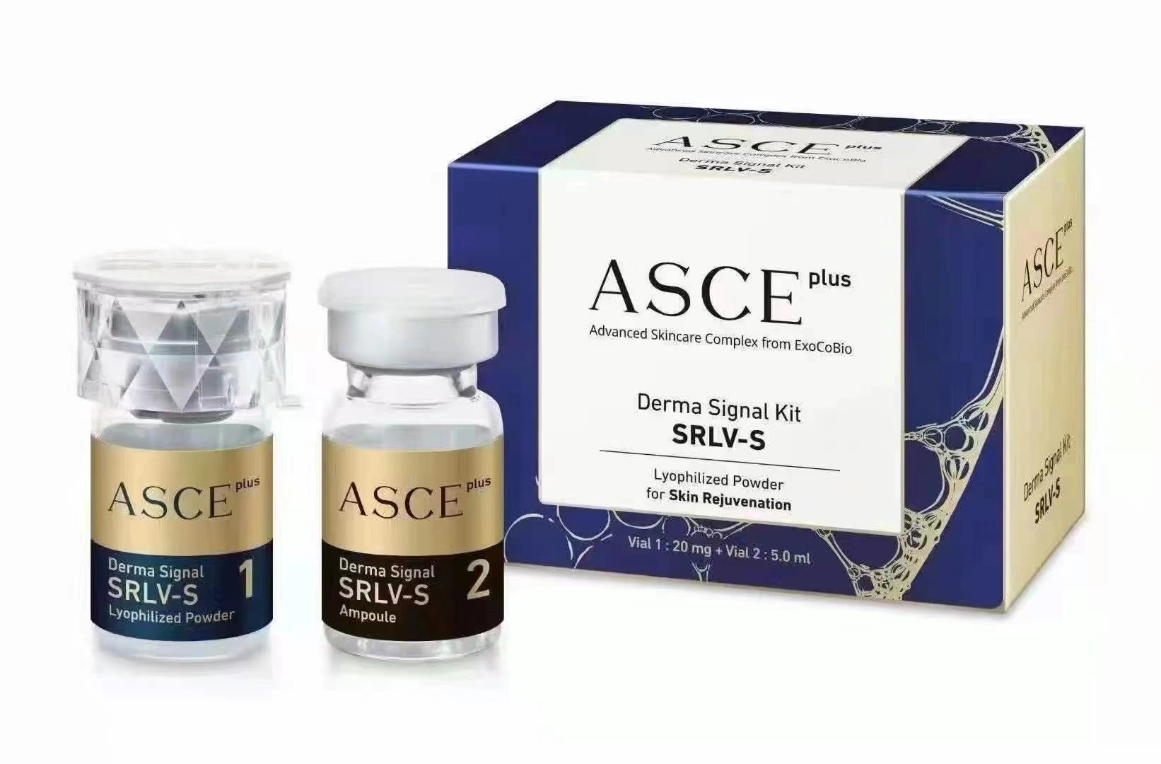 Exosome Asce Plus Brighten Skin Cell Regeneration Anti-Aging Asce Plus Derma Signal Kit Srlv-S Lyophilized Powder Acne Exosome Solution Repair Mesotherapy