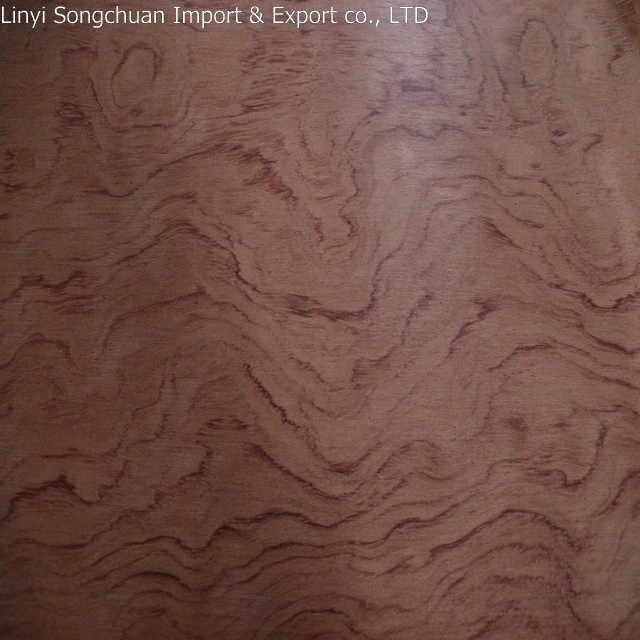 Natural Red Oak White Ash Teak Veneer Cherry Walnut Beech Fancy Plywood Factory