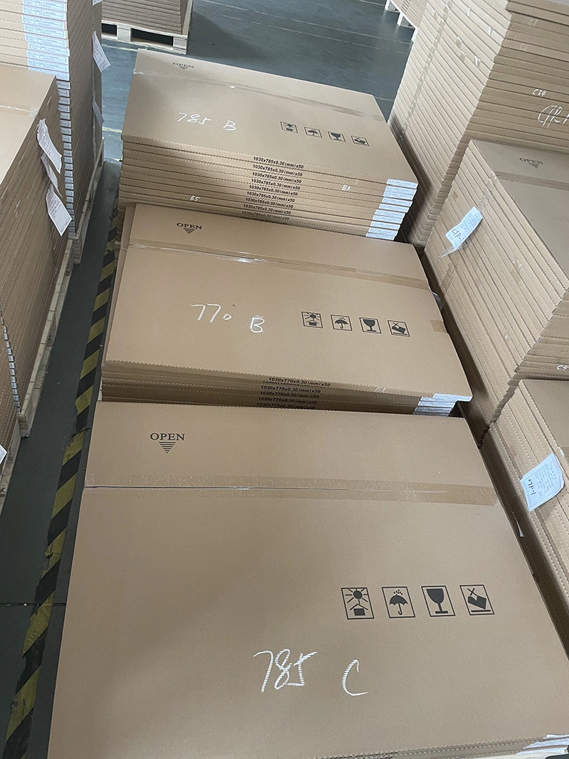 2021 OEM Factory Hot Sales Offset Printing CTP Plate