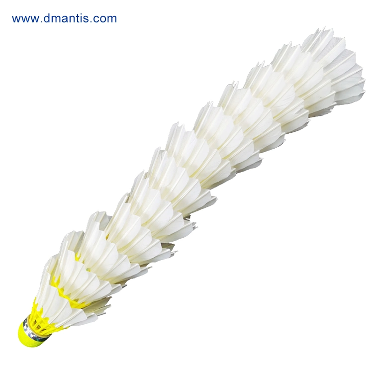 Dmantis 51 Modelo cor amarela 3NO1 Badminton Peteca Qualidade Popular no Vietname