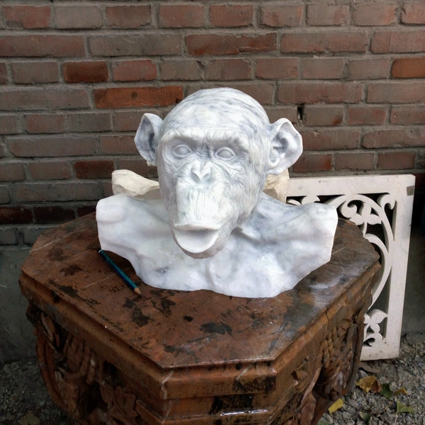 Nero Marquina mármol Chimpanzee Bust Carving Sculpture