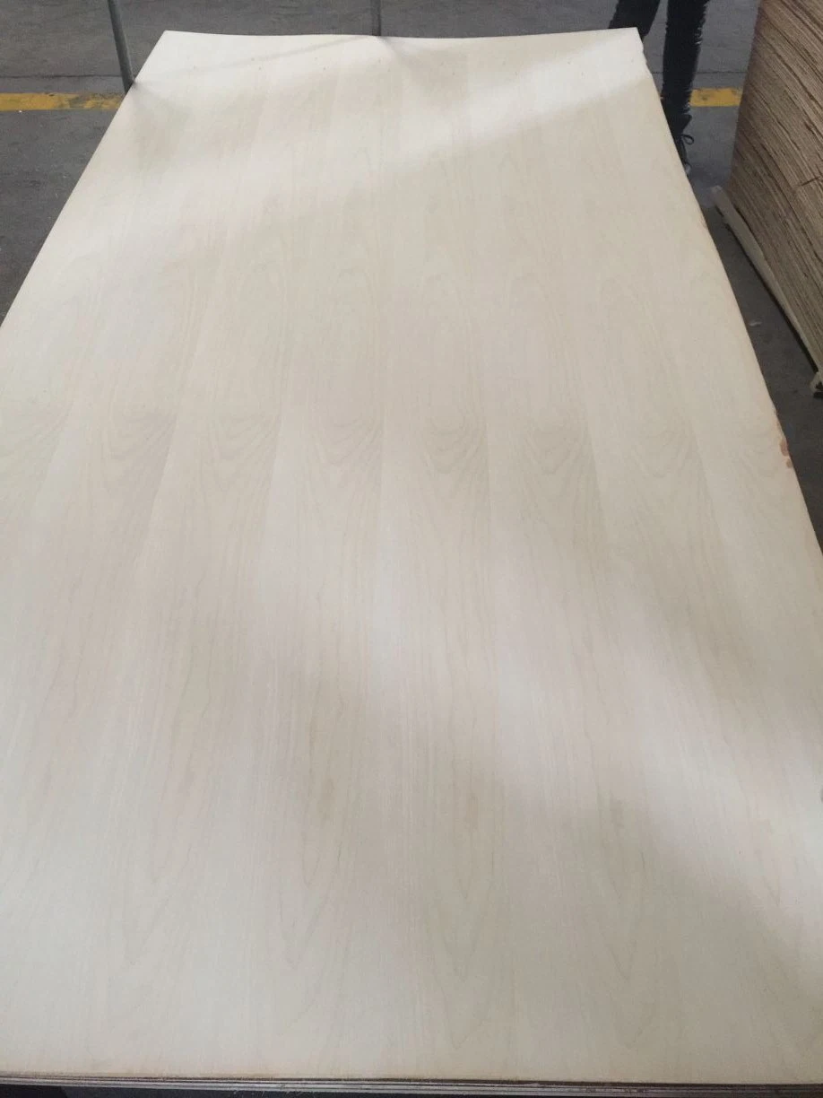 American White Maple MDF Sperrholz 4,8mm 12mm