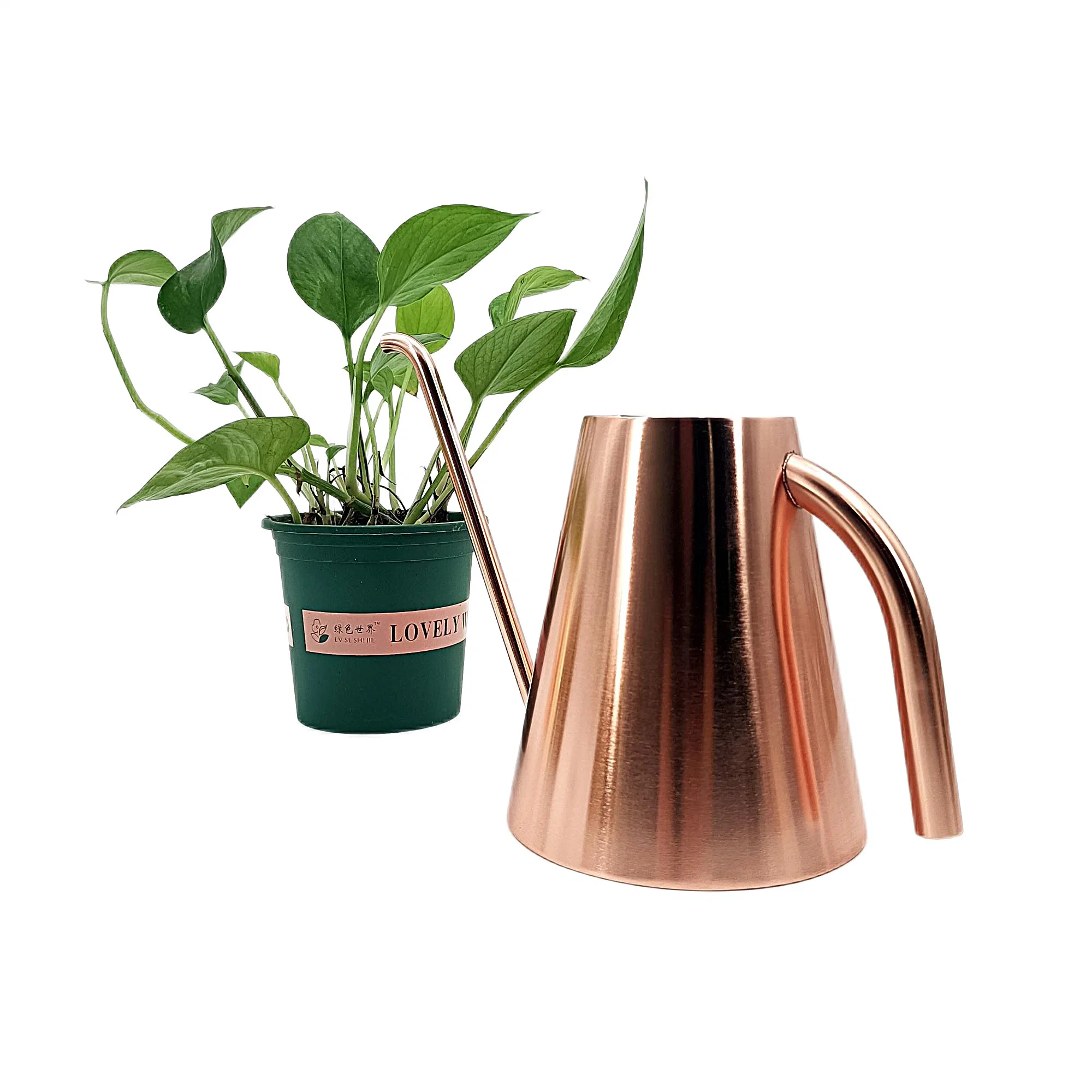 Caixa decorativa de rega revestida a rosa dourado 1.3L com bico comprido Para a estação de jardim flor Metal aço inoxidável molhar lata