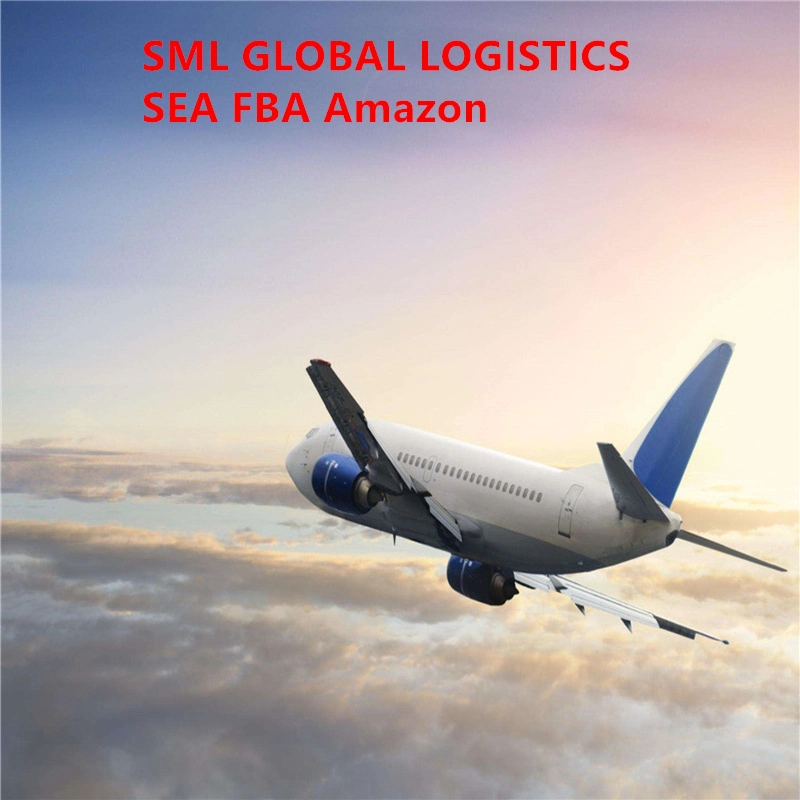 Servicio de carga aérea Transporte de carga a Francia/Grecia/Austria/República Checa/Finlandia/Suecia/Noruega/Italia DDP FBA Amazon Cheap sea Shipping Agents Logística