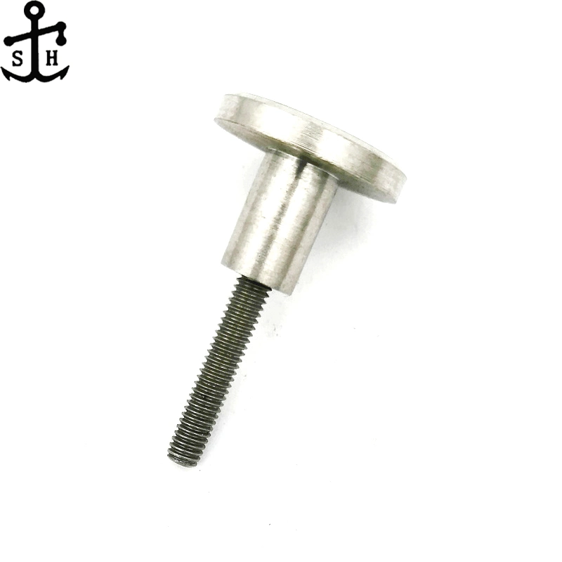 Stainless Steel Fasteners Non-Standard Ss 304 Screw Combination (Rivet and Stud Made in China