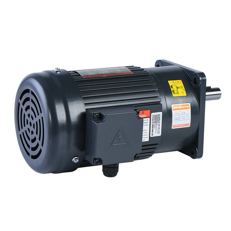 Y22-100-CTG-C/CV22-60B AC Motor de engrenagem do freio vertical 100W Ratio 60