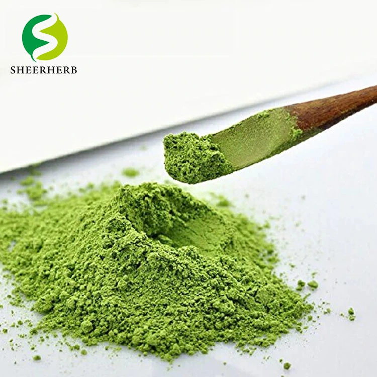 Matcha العضوي، وهو غذاء خارق مع البوليفينول كلوروفيل والكلوروفيل ولتر ثاين ماتشا، مسحوق الشاي الأخضر