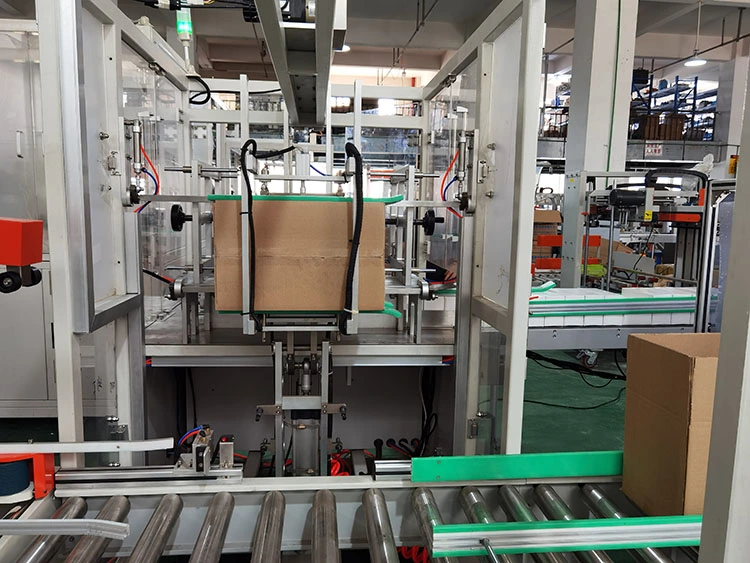 Automatic Case Packer / Case Erector / Carton Box Packing Machine with Factory Price