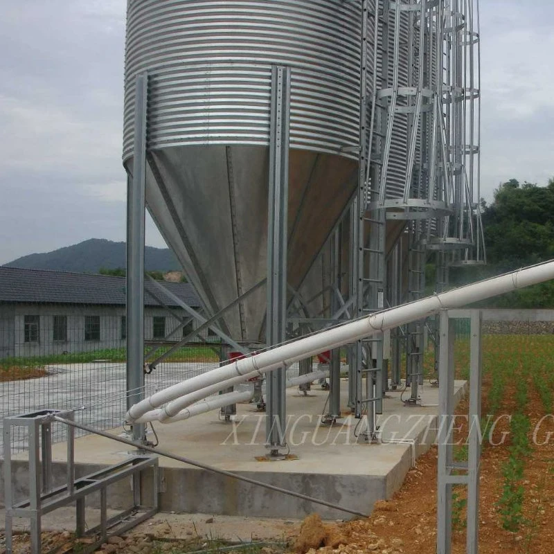 Steel Structure Poultry Farm House