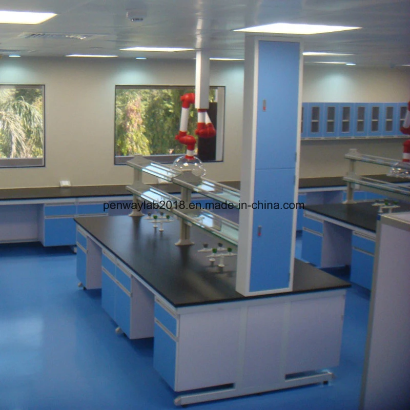 School Lab Bench Table Test Lab Supply Cheap Price