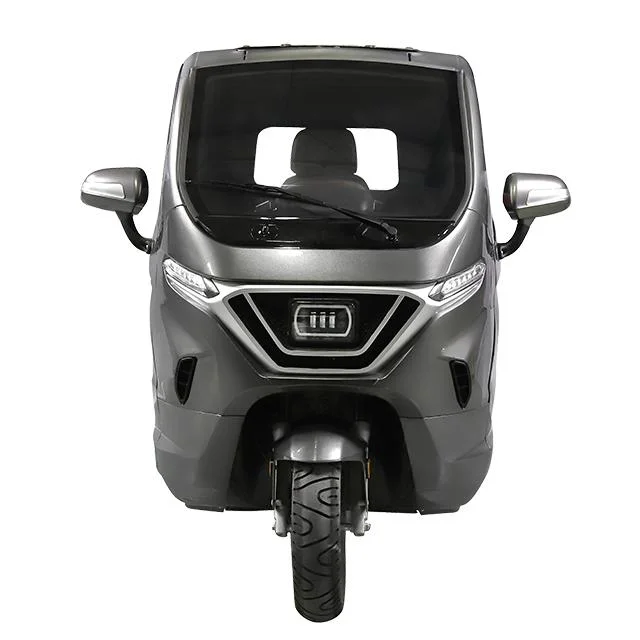 Triciclo eléctrico Auto 2000W/4000W Moto eléctrica
