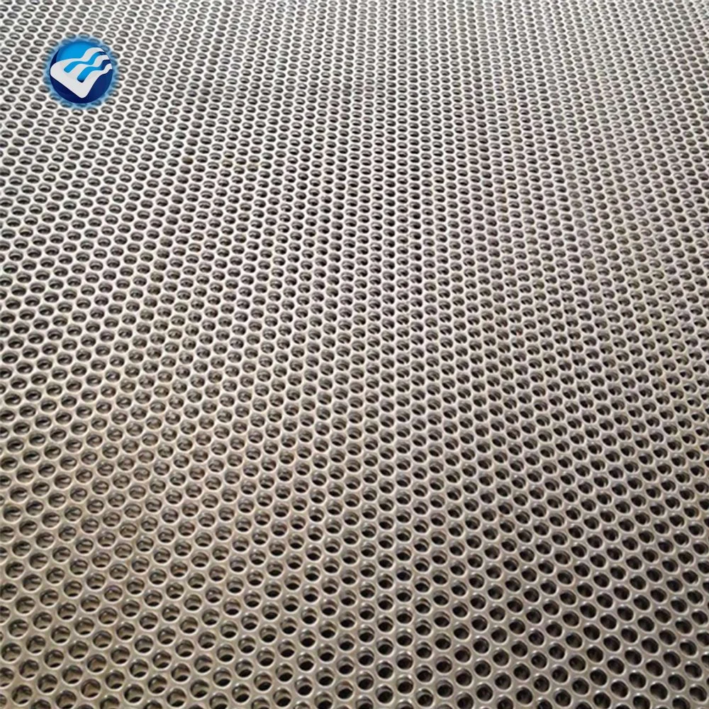 Hot DIP Galvanizing Perforated Metal Wire Mesh Plate/Coil
