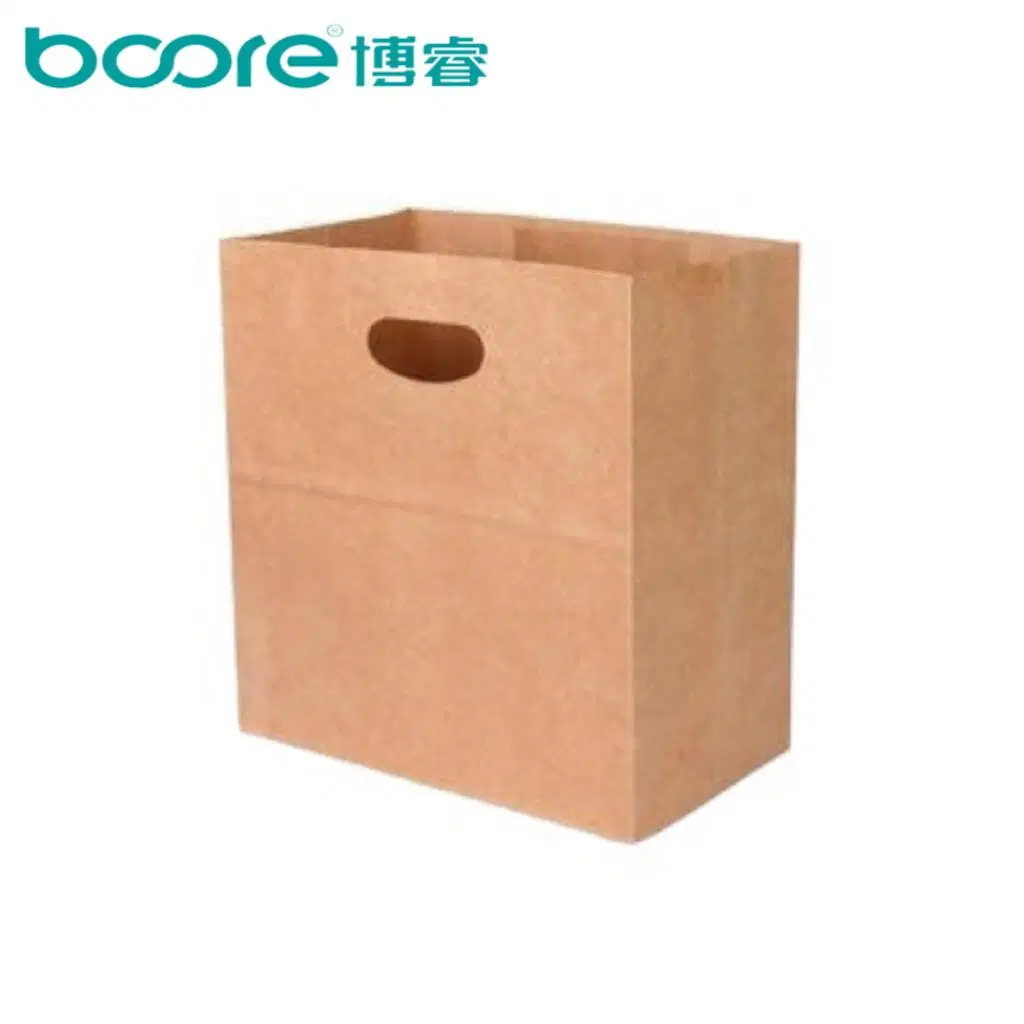 Shopping Carrier Bag Paper Flexo Printing Custom Logo